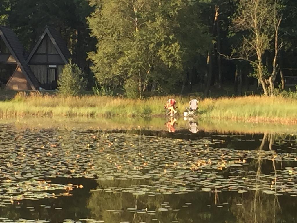 'T Vosseven Vakantiehuizen Stramproy Zimmer foto